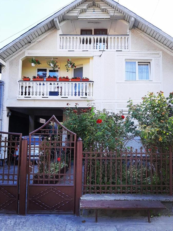 Pensiunea Maria Sighetu Marmaţiei Exterior foto